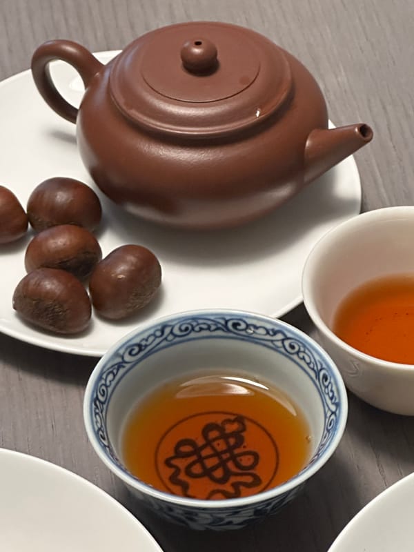 차 속 밤 그림자: 부드럽게 스며드는 가을의 만남