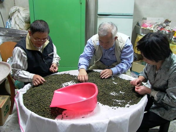 산림계 양갱(羊坑) 차 구역 현지 탐방
