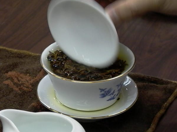 대만식 차 제조 공정 상세 해설